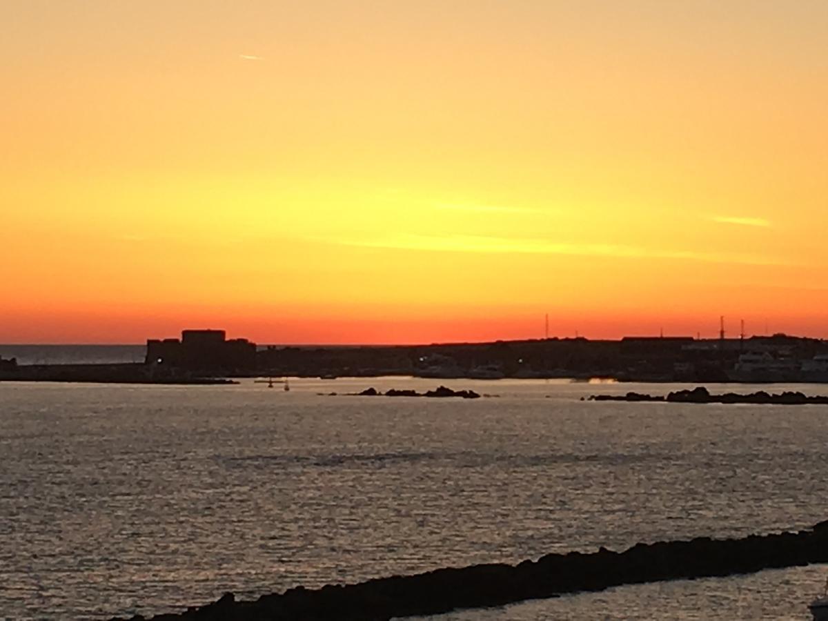 Limnaria Westpark Lejlighed Paphos Eksteriør billede